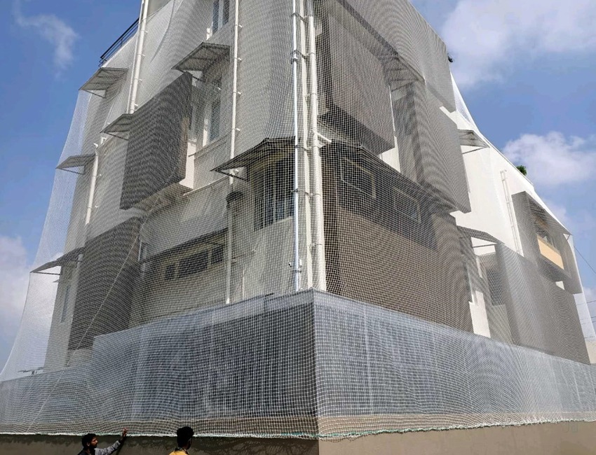 MS Sai Safety Nets