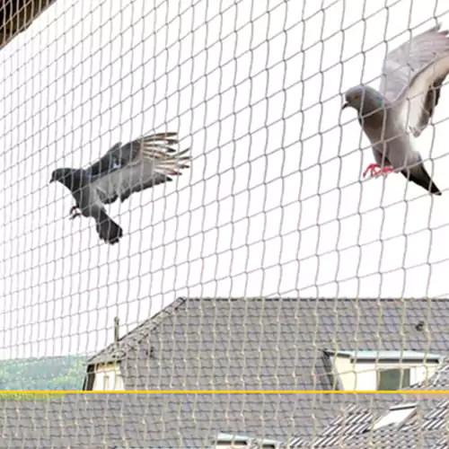 Anti Bird Nets